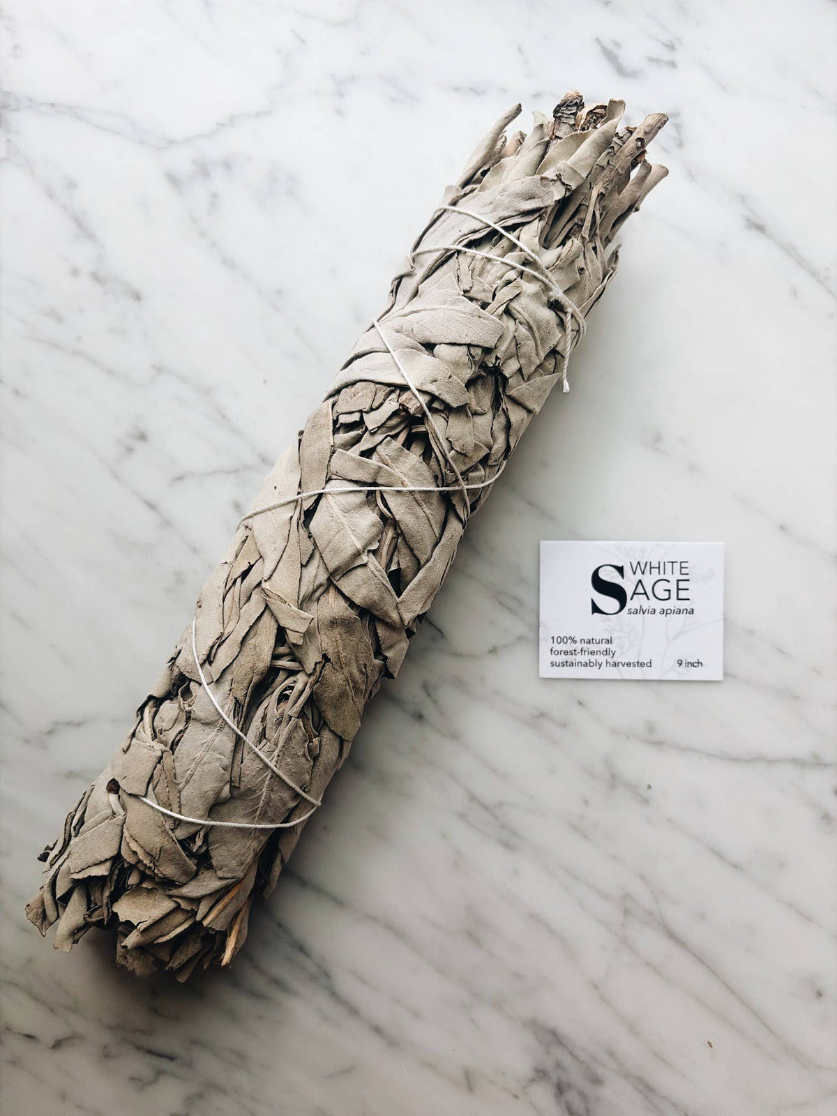 Forest-Friendly White Sage Bundle | 9 inch