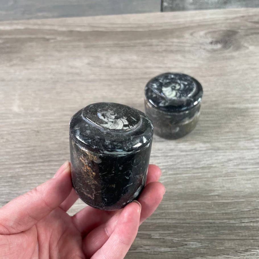 Ammonite Fossil Bowls | Genuine Fossil Crystal Dish