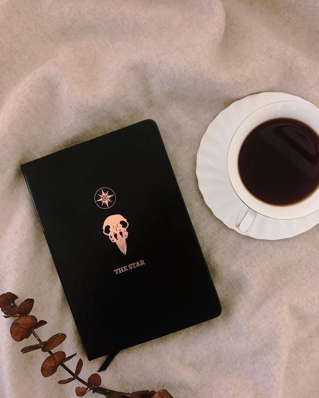 Tarot Journal | The Star