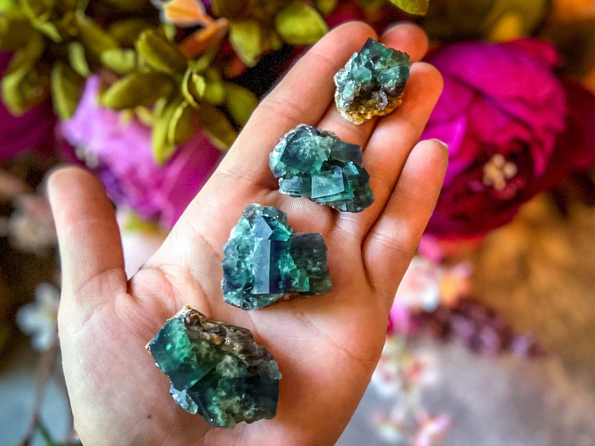 Naughty Gnome Pocket Fluorite Clusters from United Kingdom | Fluorescent Crystal