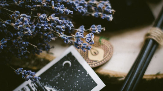Transpersonal Development Space