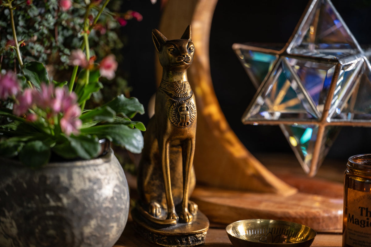Cabinet of Curiosities