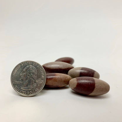 Natural Shiva Lingam 4" | Sacred Stone of Balance & Transformation