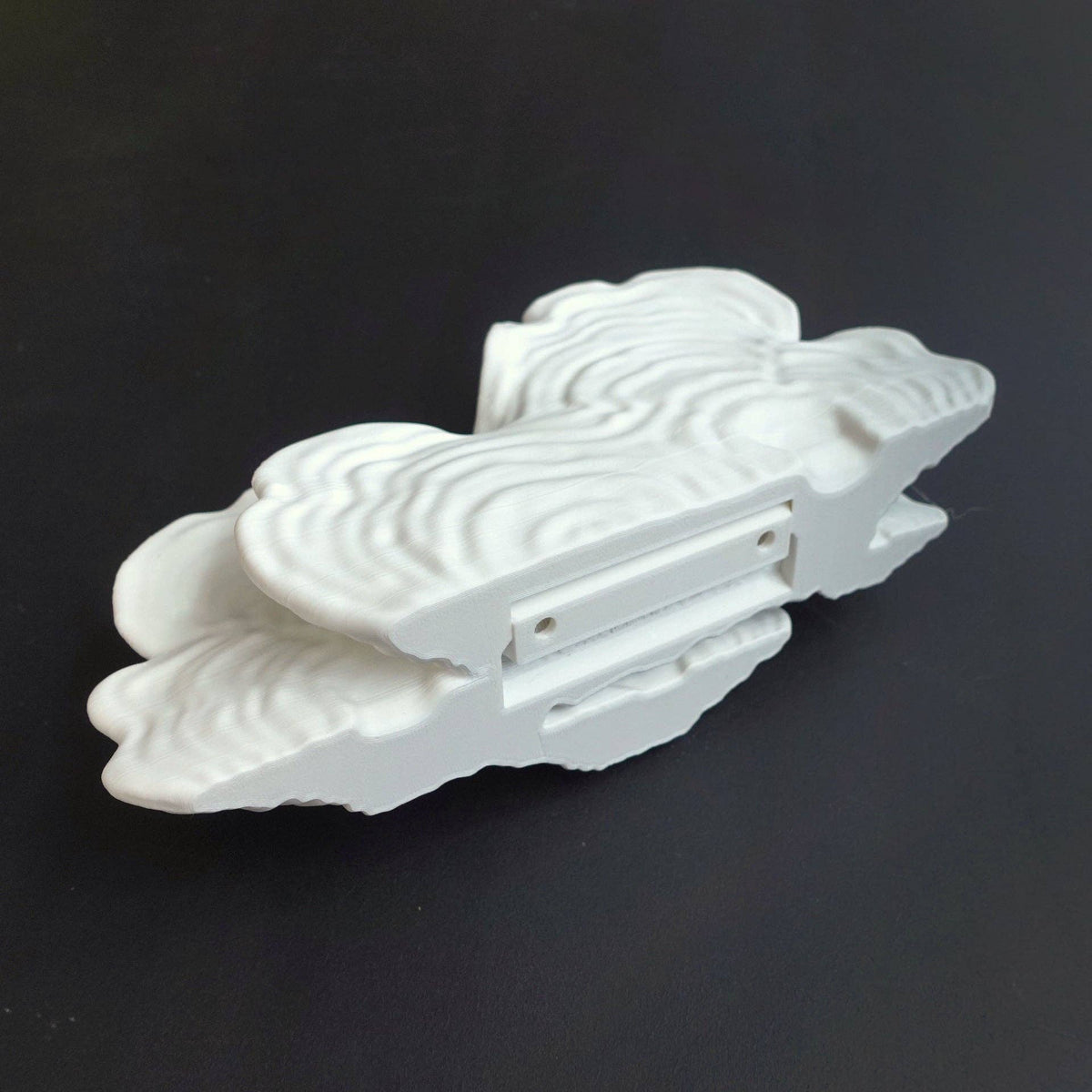 Ostrea Fungus Floating Shelf | Sculptural Wall Shelf