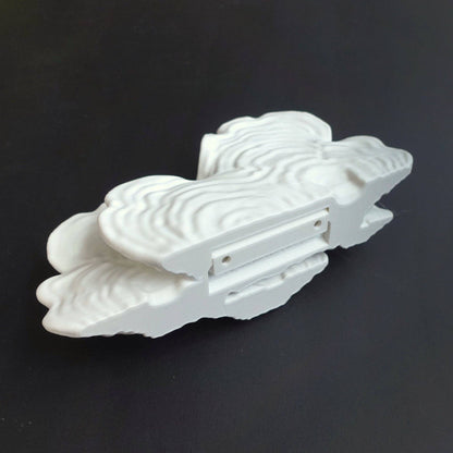 Ostrea Fungus Floating Shelf | Sculptural Wall Shelf
