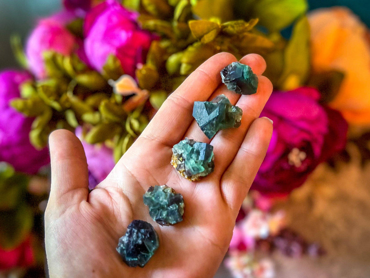 Naughty Gnome Pocket Fluorite Clusters from United Kingdom | Fluorescent Crystal