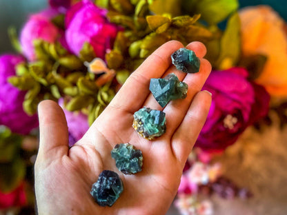Naughty Gnome Pocket Fluorite Clusters from United Kingdom | Fluorescent Crystal