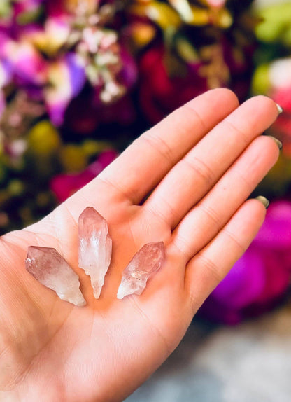 Scepter Quartz with Pink Hematite | Rare Crystal from India