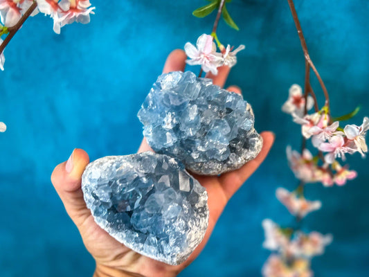 Celestite Clusters | Natural Blue Celestite Crystal Specimens