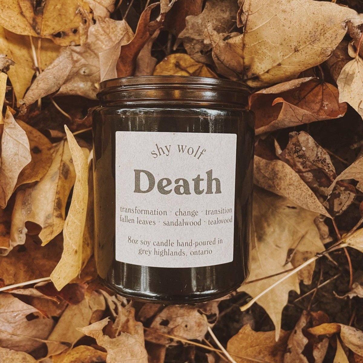 Death Tarot Inspired Soy Candle | Fallen Leaves, Sandalwood & Teakwood