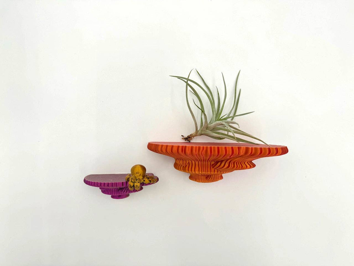 Tinder Fungus Floating Shelf | Sculptural Wall Shelf