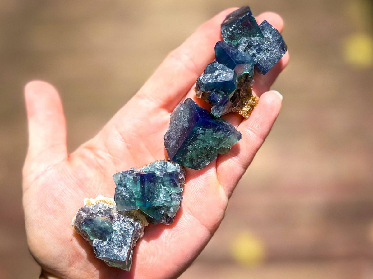 Naughty Gnome Pocket Fluorite Clusters from United Kingdom | Fluorescent Crystal