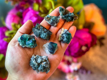 Naughty Gnome Pocket Fluorite Clusters from United Kingdom | Fluorescent Crystal