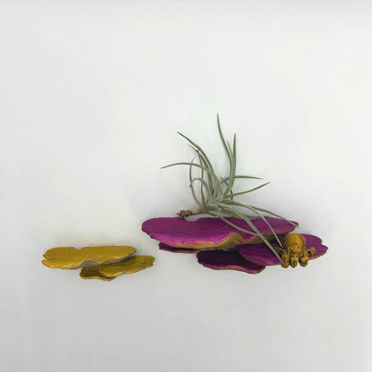 Ostrea Fungus Floating Shelf | Sculptural Wall Shelf