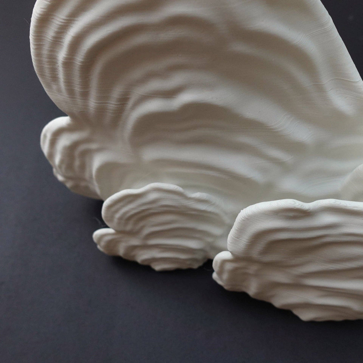 Ostrea Fungus Floating Shelf | Sculptural Wall Shelf