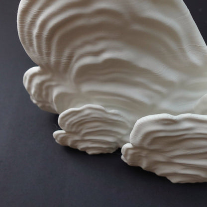 Ostrea Fungus Floating Shelf | Sculptural Wall Shelf