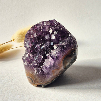 Amethyst Eyes Freeform – Agate Eye – 309 g
