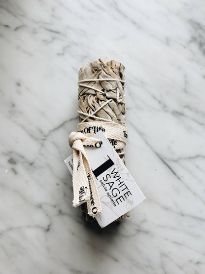 Forest-Friendly White Sage Bundle | 4 inch