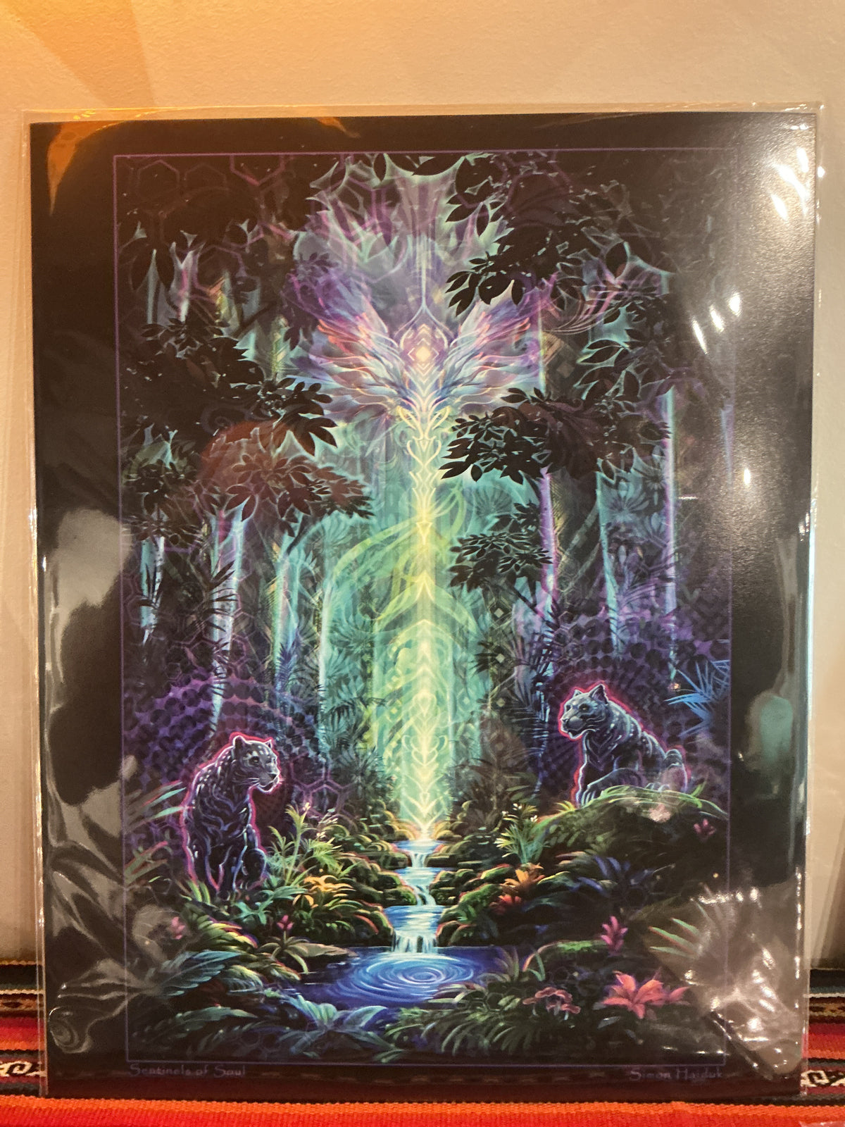 Simon Haiduk Paper Prints