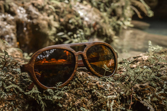 Dragonfly Bamboo | Polarized Aviator Sunglasses