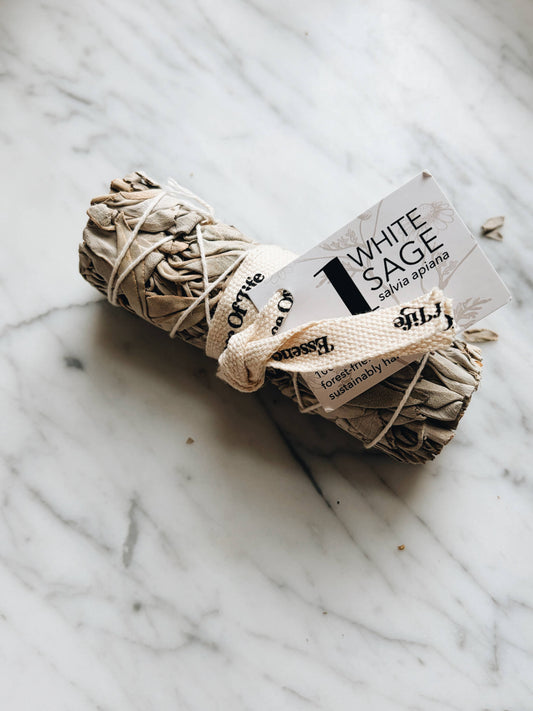 Forest-Friendly White Sage Bundle | 4 inch