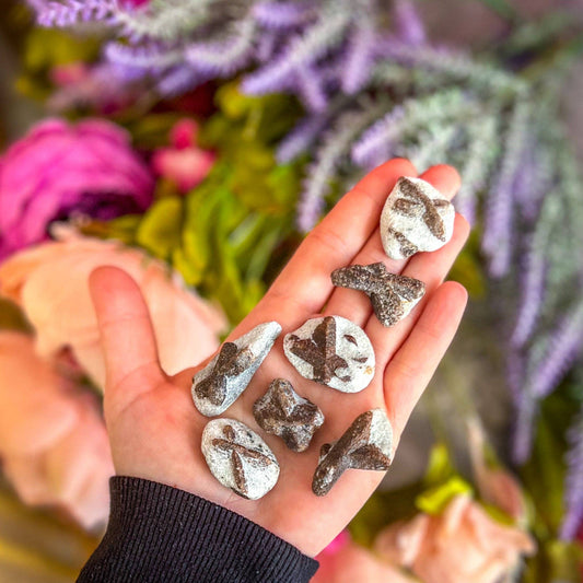 Fairy Crosses from Russia | Natural Staurolite Crystal Formations