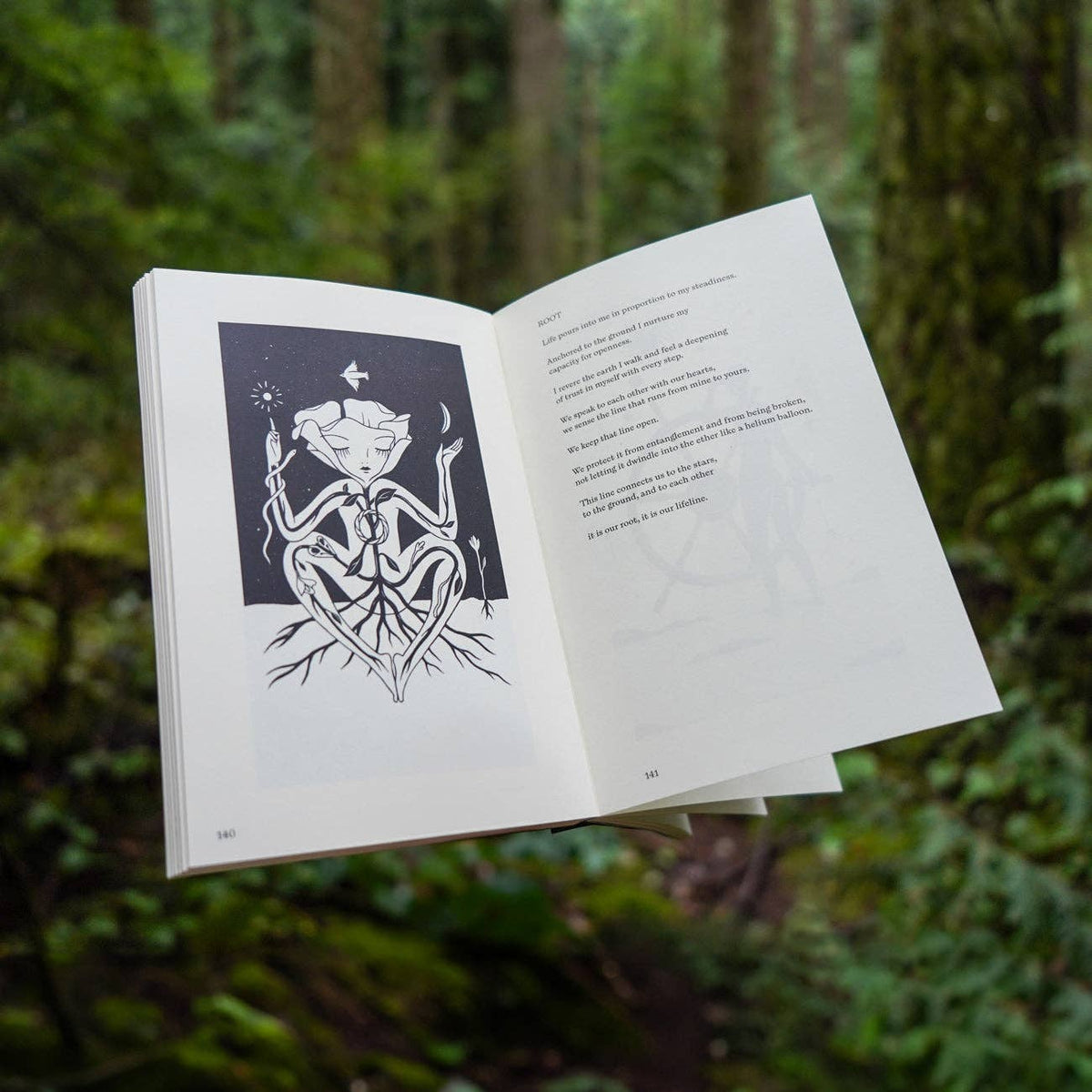 Visions in Verse | Guide Book