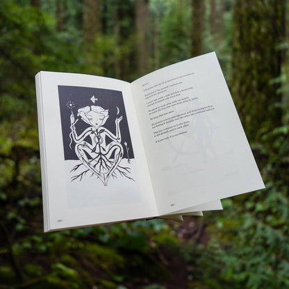 Visions in Verse | Guide Book