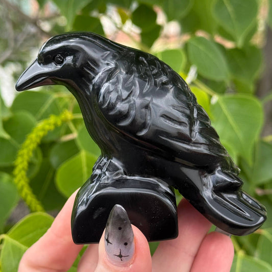 Large Obsidian Crow 