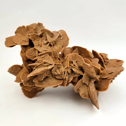 Extra Large Desert Rose Crystal Cluster from Morocco | 13 lb Specimen