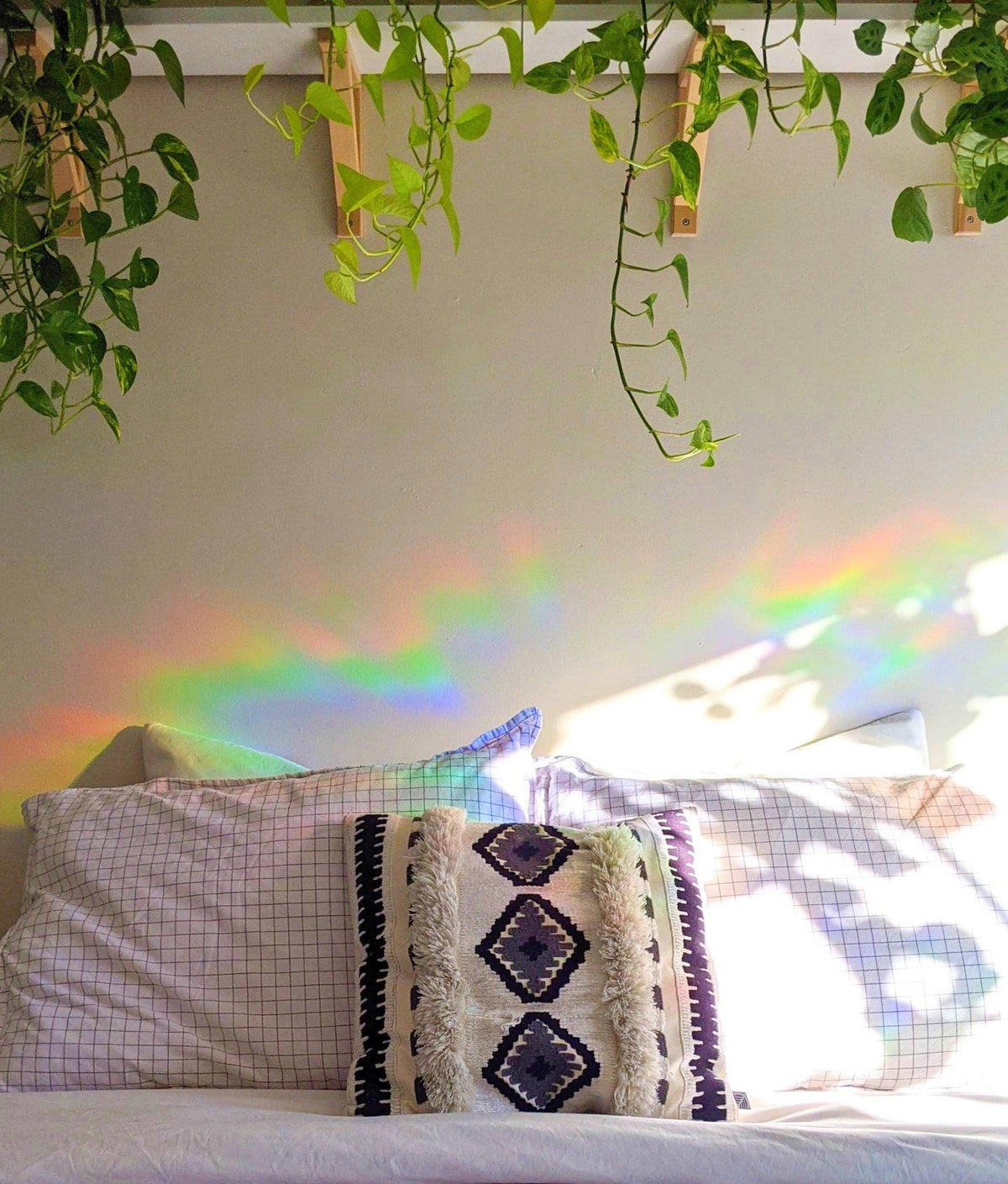 Butterfly Rainbow Suncatcher | Prismatic Window Cling