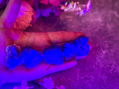 Naughty Gnome Pocket Fluorite Clusters from United Kingdom | Fluorescent Crystal