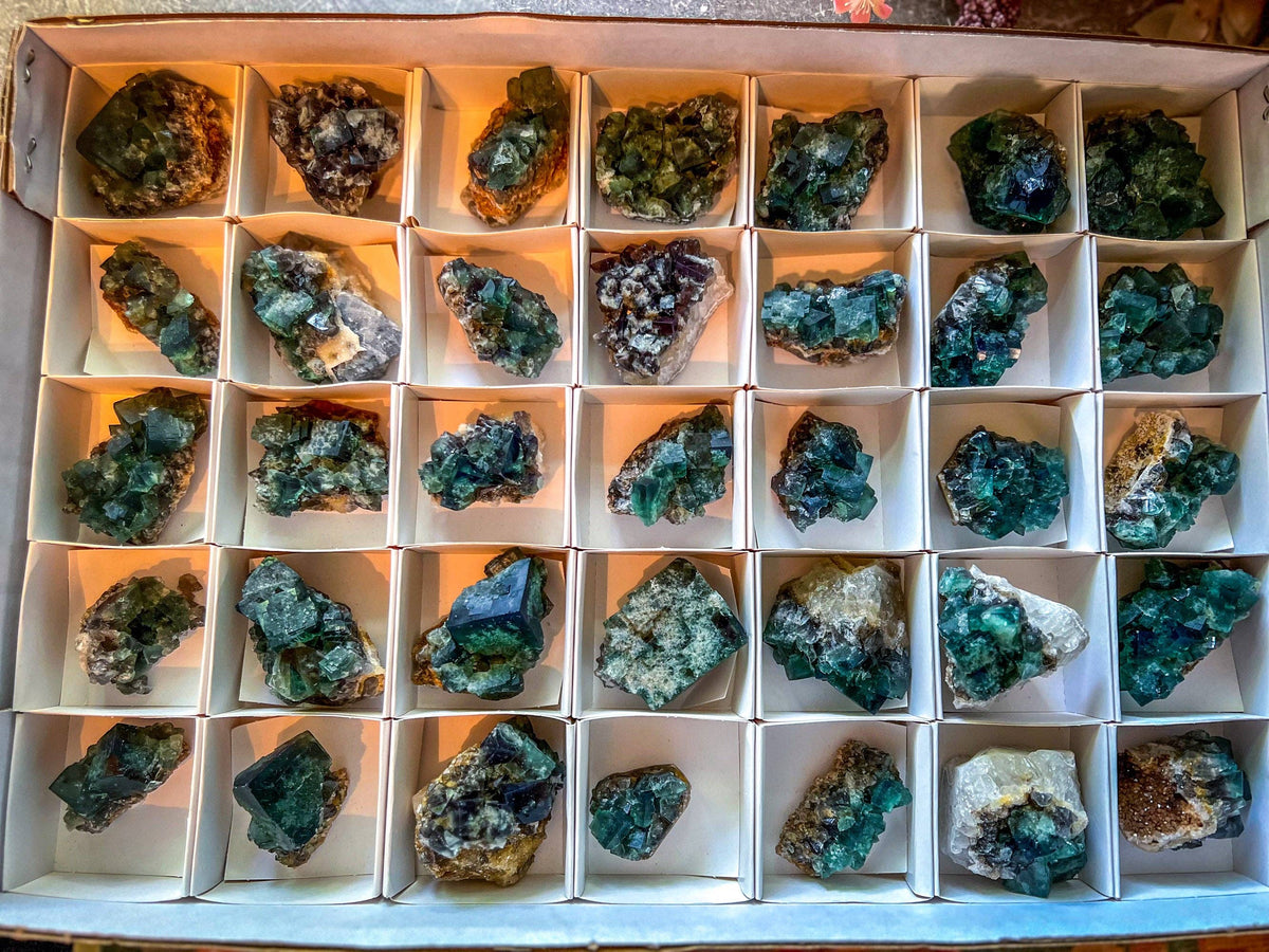 Naughty Gnome Pocket Fluorite Clusters from United Kingdom | Fluorescent Crystal