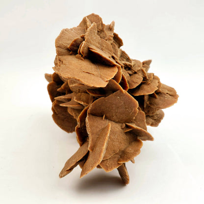 Extra Large Desert Rose Crystal Cluster from Morocco | 13 lb Specimen