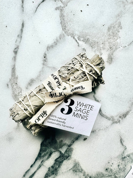 Forest-Friendly White Sage Minis | (Set of 3)