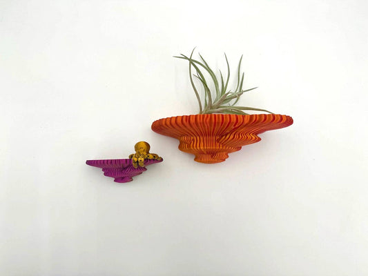 Tinder Fungus Floating Shelf | Sculptural Wall Shelf