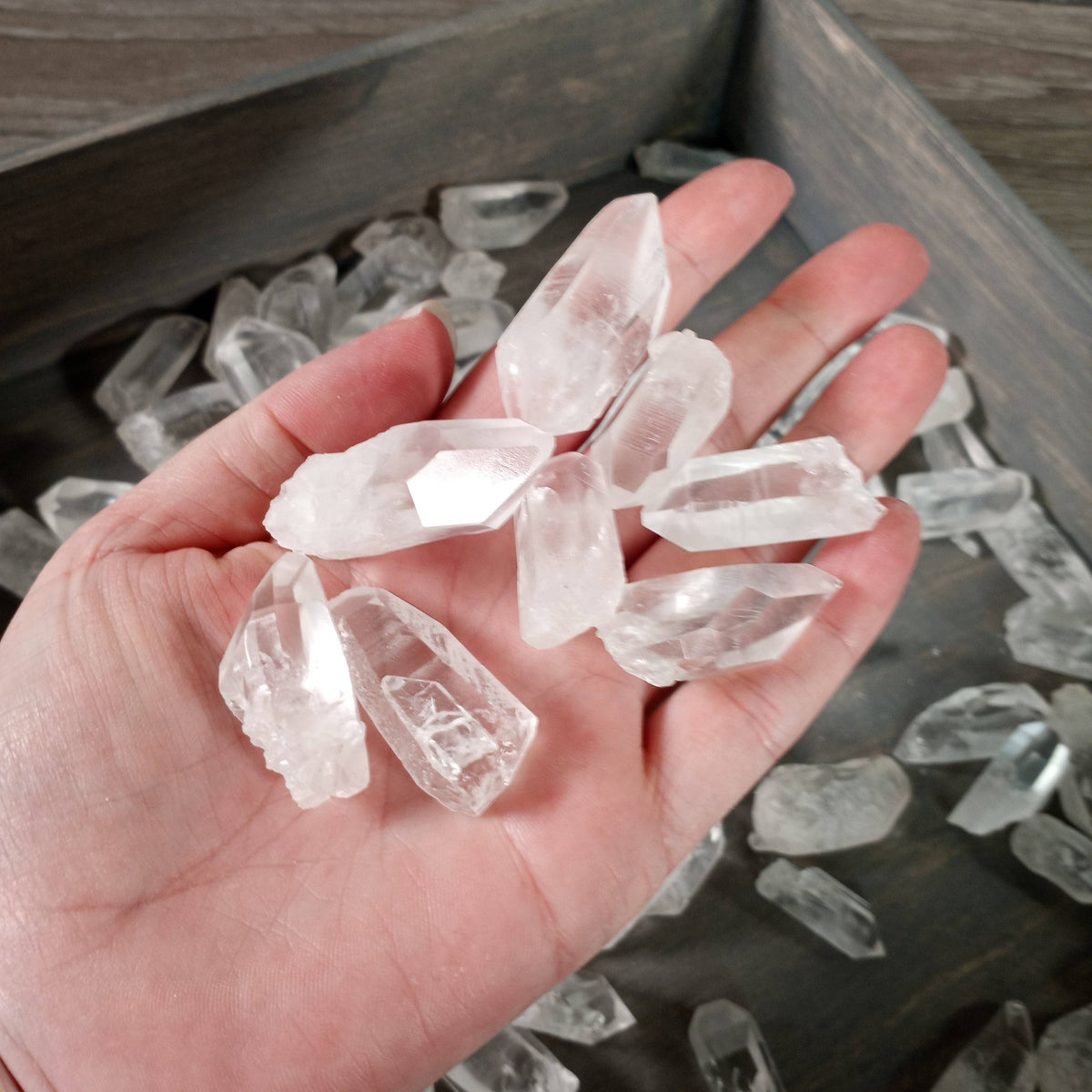 Lemurian Quartz Points Brazil | Raw Crystal & Meditation Stone