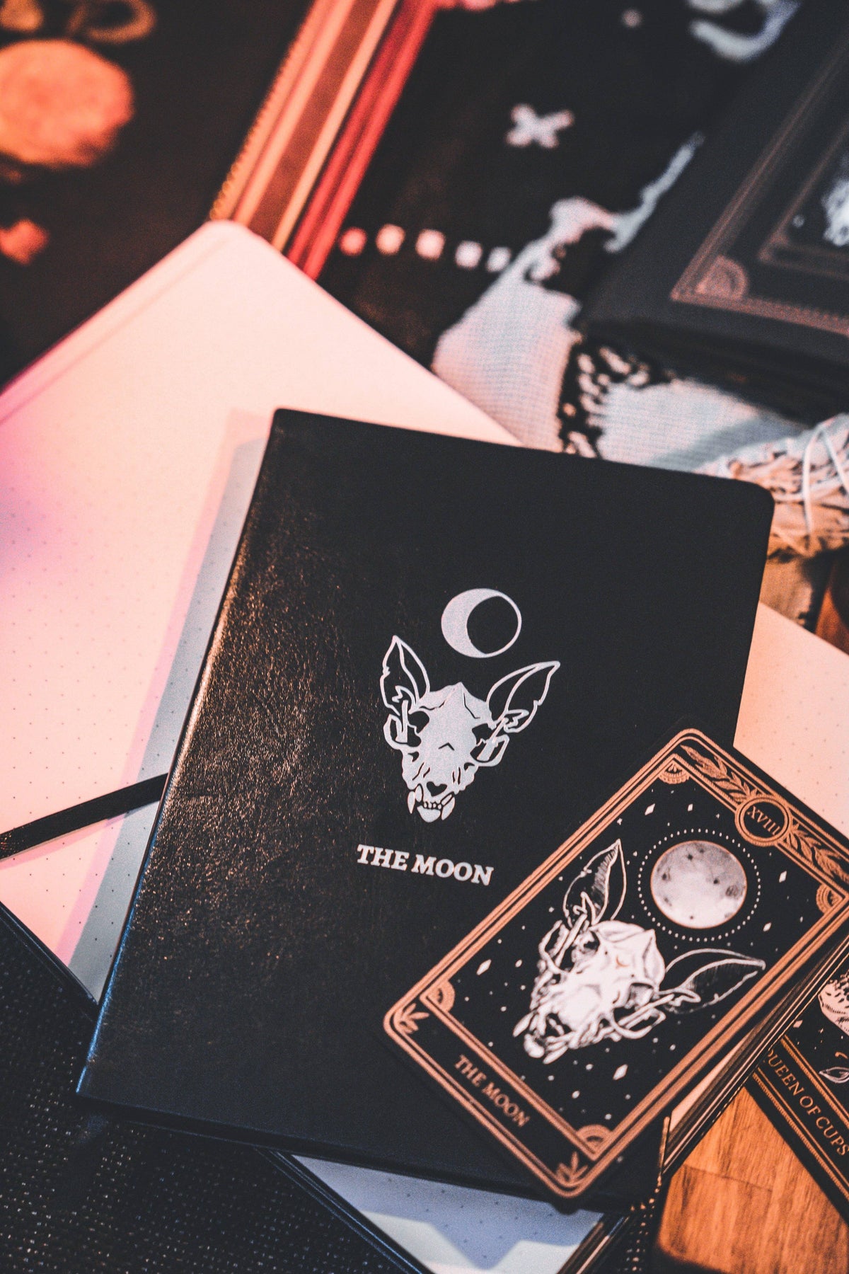 Tarot Journal | The Moon