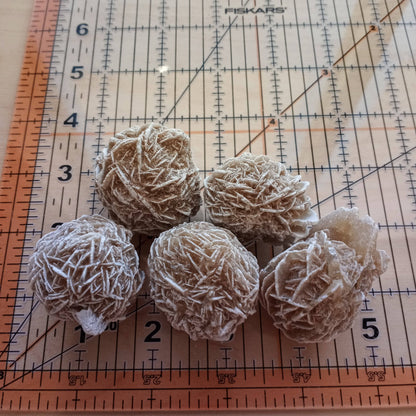 Desert Rose Selenite Clusters | Natural Crystal Formations