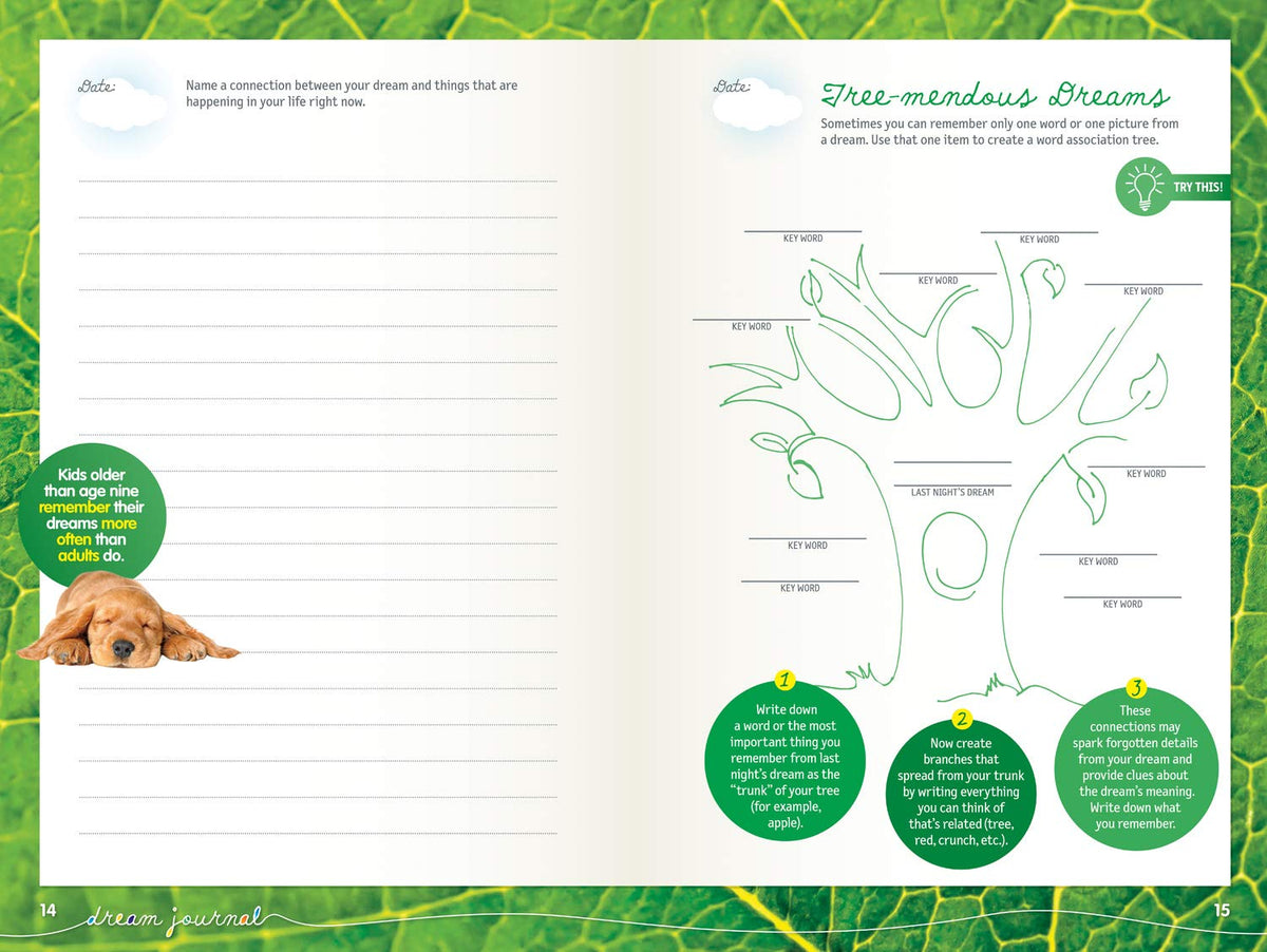 National Geographic Kids Dream Journal