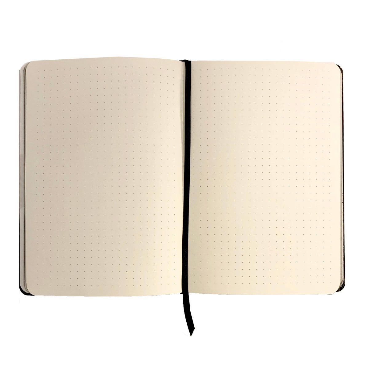 Tarot Journal | The Star
