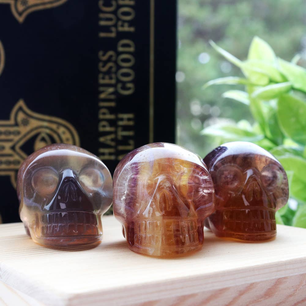 Fluorite Crystal Skull | Symbol of Wisdom & Clarity