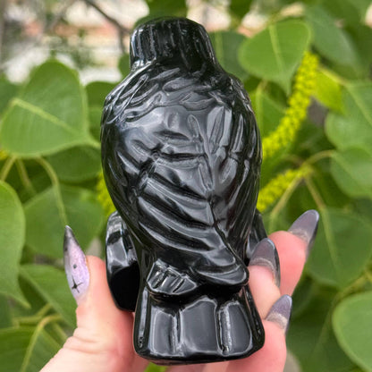 Large Obsidian Crow 