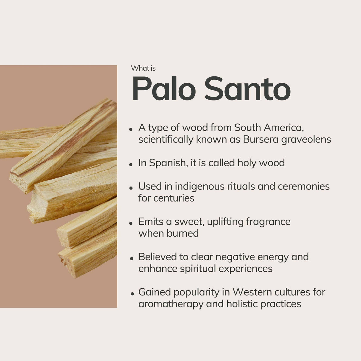 Mini Palo Santo Incense Stick | Holy Wood & Sacred Smoke (Single)