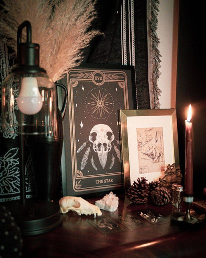 Marigold Tarot Print – The Star | Amrit Brar