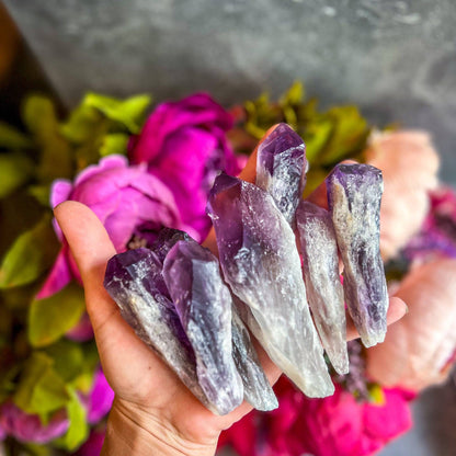 Dragon-Tooth Amethyst Spears from Brazil | Raw Natural Crystal Points