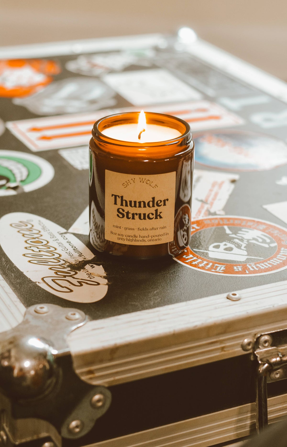 Thunderstruck Music Inspired Soy Candle | Rain, Mint & Grass