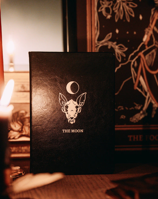 Tarot Journal | The Moon
