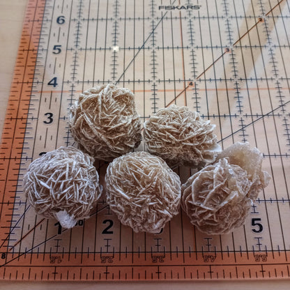 Desert Rose Selenite Clusters | Natural Crystal Formations