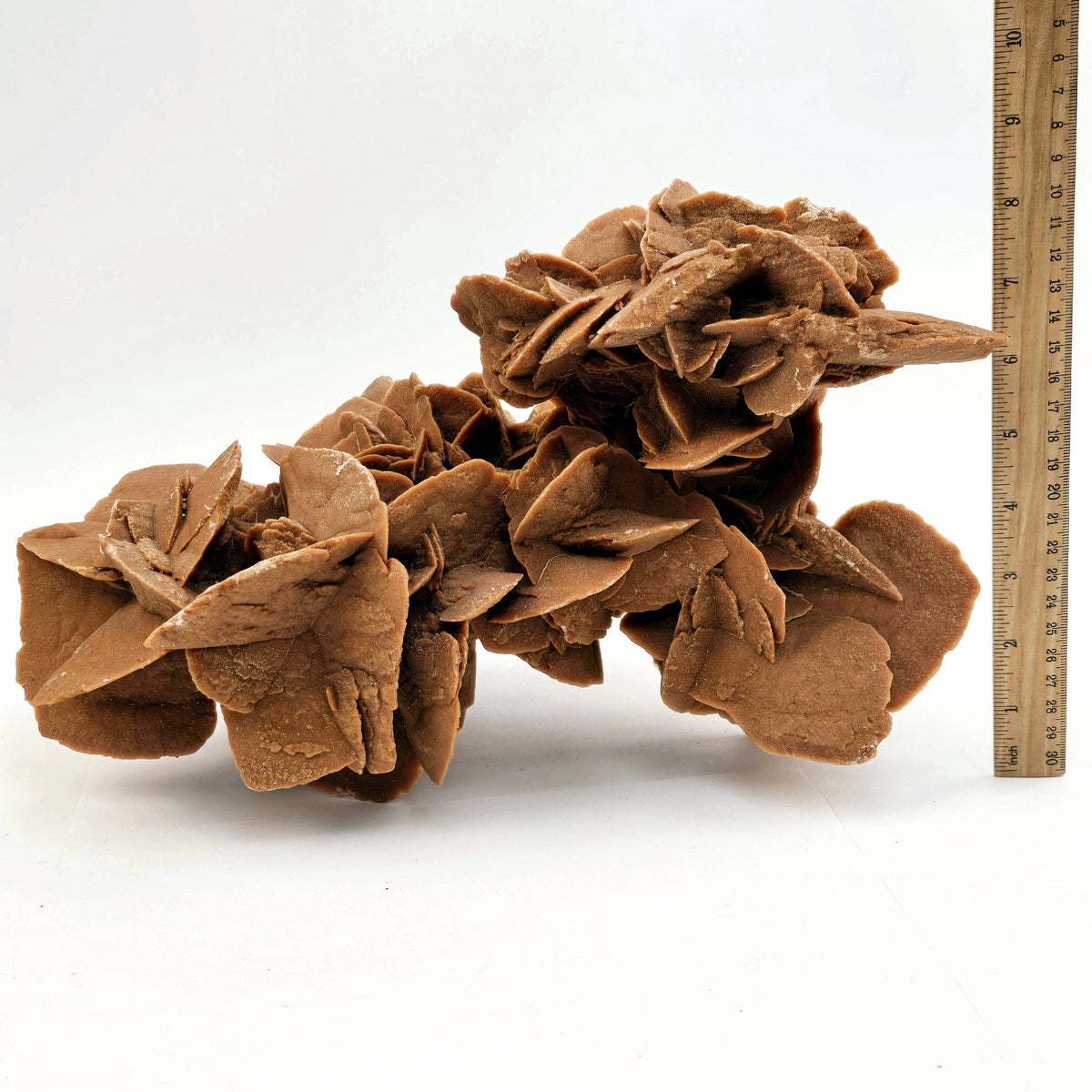 Extra Large Desert Rose Crystal Cluster from Morocco | 13 lb Specimen